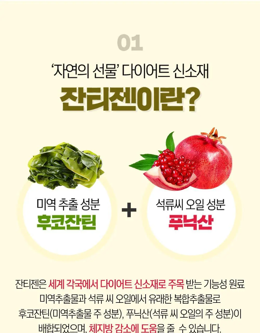 [하루 한알 다이어트] 그린몬스터 지방타파 칼로아웃 잔티젠+ 14캡슐 (2주분) 상세페이지 5